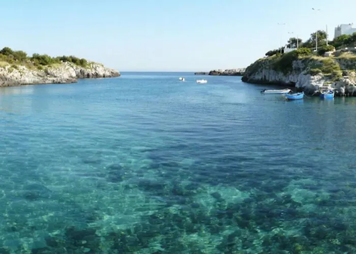 Selva Del Turchese 公寓