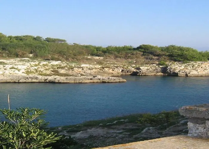 公寓 Selva Del Turchese *